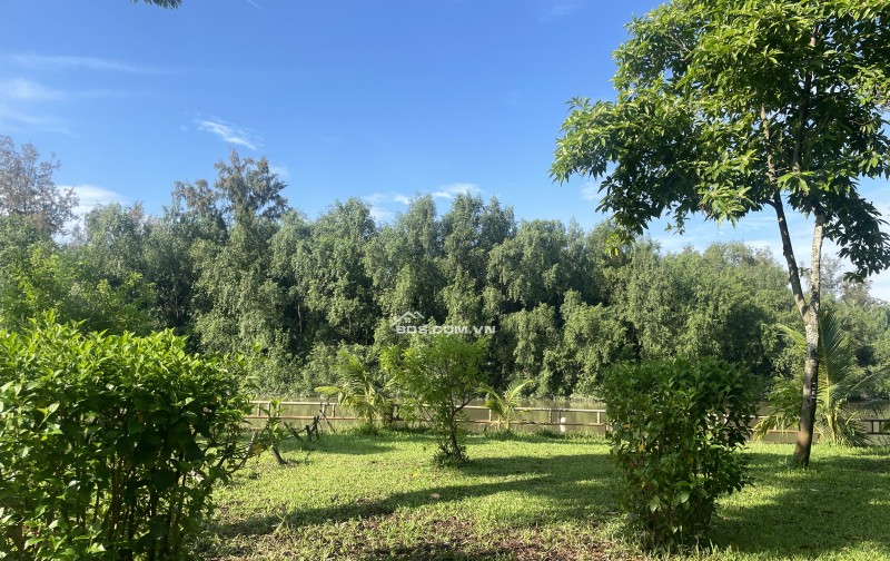 Nhà mặt tiền view sông KDC Tân Phong Quận 7 – Siêu phẩm kinh doanh 28 tỷ