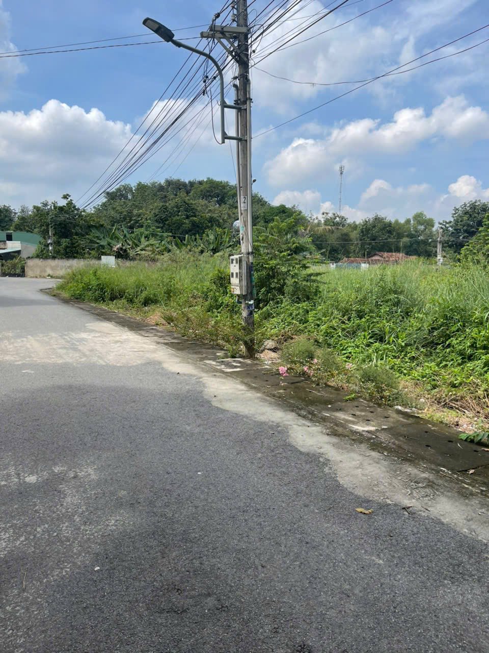 Lô đất mặt tiền đường nhựa 18m Bàu Bàng, Bình Dương 100m² - Giá chỉ 800 triệu!