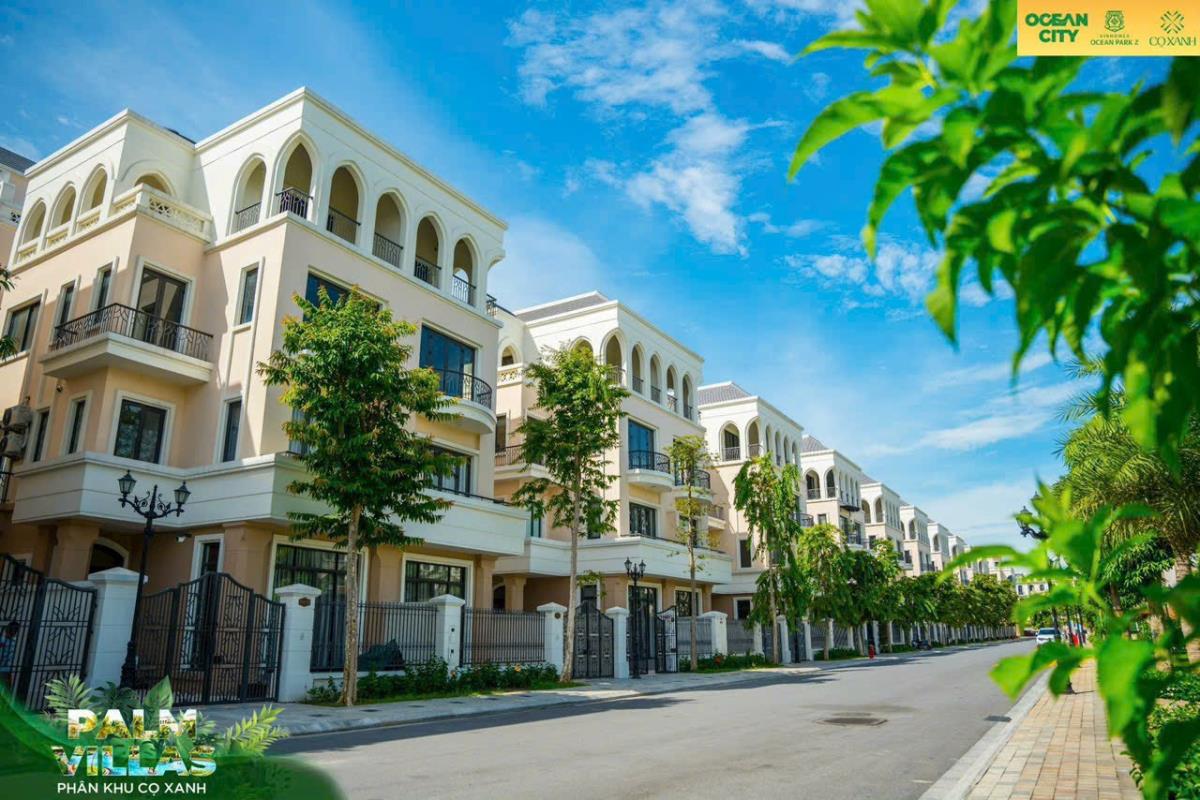 Biệt thự cho thuê Vinhomes Ocean Park 2, 56m² chỉ 6.4 triệu - Miễn phí dịch vụ 2 năm!