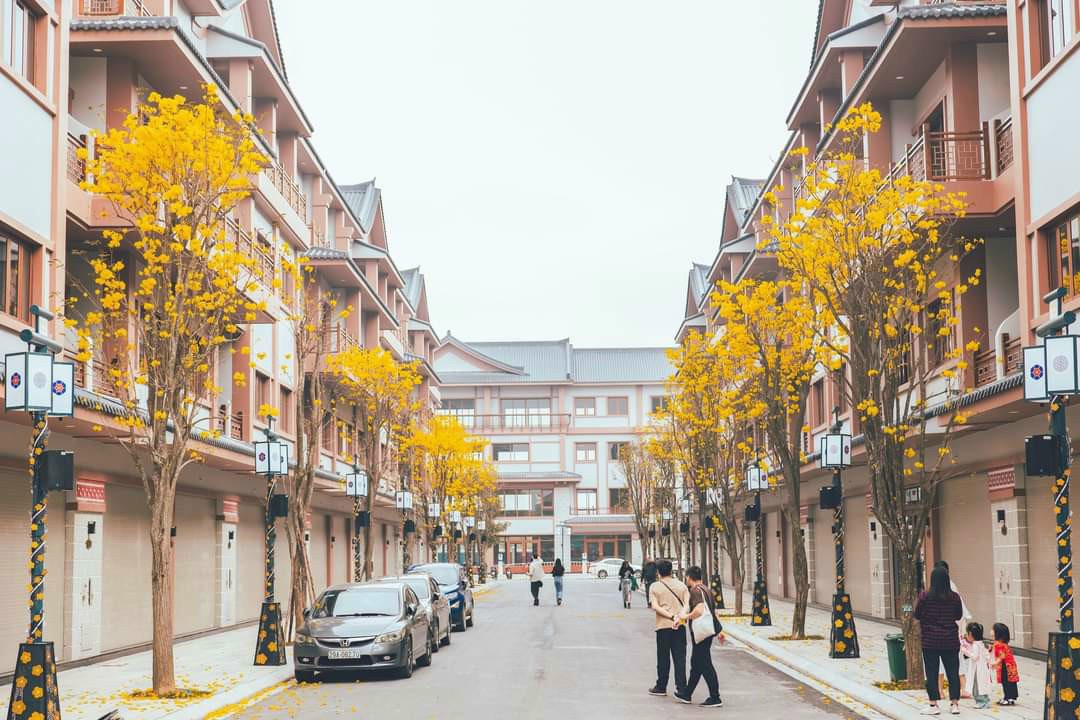 Bán biệt thự liền kề Vinhomes Ocean Park 2 80m² giá 8.9 tỷ - Vị trí đẹp, cơ hội đầu tư hấp dẫn!