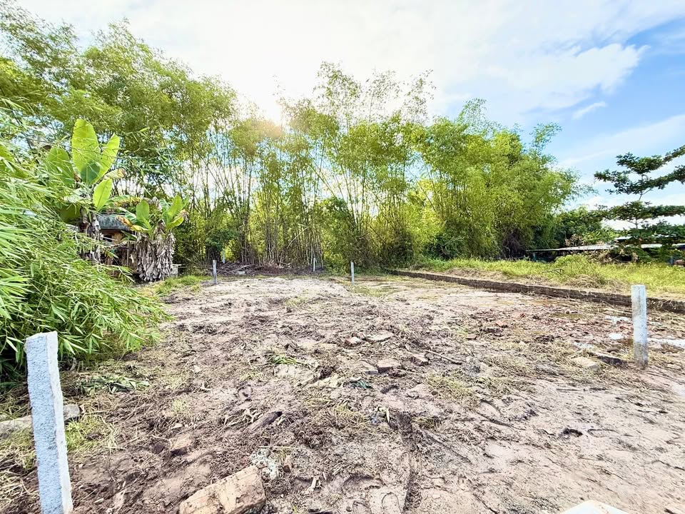 Đất thổ cư Thị Trấn Hà Lam 120m² giá 500 triệu - Dân cư đông đúc, view đồng!