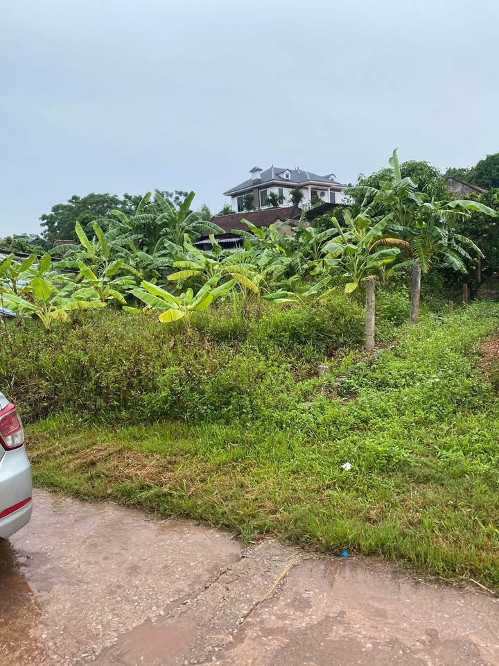 Đất thổ cư Tiên Lục Lạng Giang 120m² giá chỉ 8xx triệu - Đường ô tô thông thoáng!