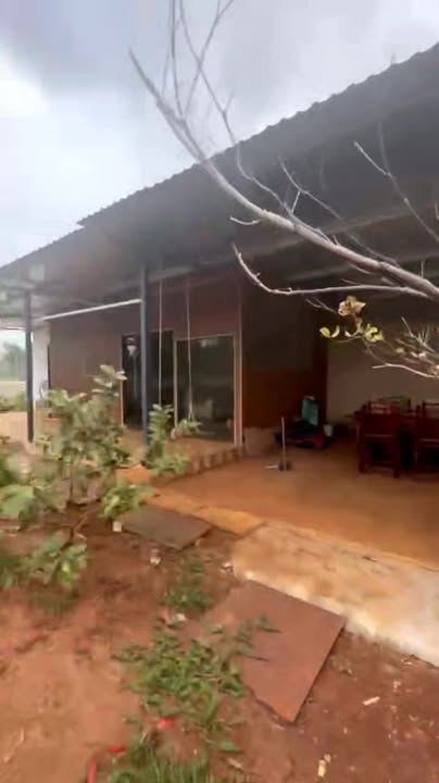 Đất nền Pleiku Gia Lai 1440m² giá 6 tỷ - Đầu tư sinh lời ngay!