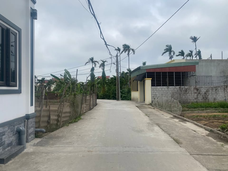 Đất nền An Khánh, An Lão 95m² giá chỉ 800 triệu - Vị trí đắc địa, tiện ích đầy đủ!