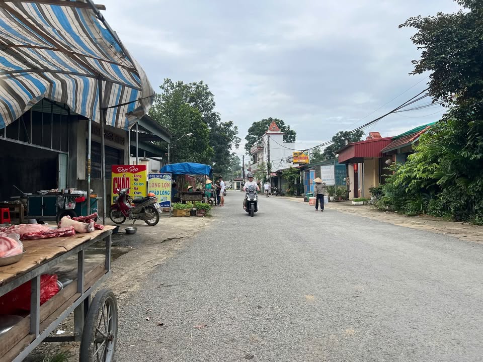 Lô đất thổ cư 161m² tại Thị trấn Thường Xuân chỉ 1 tỷ - Đầu tư sinh lời ngay!