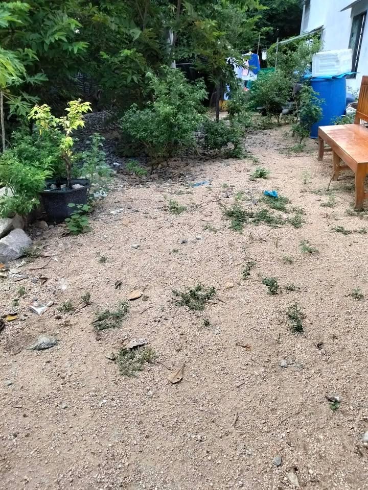 Đất thổ cư 115,9m² Phường Ba Ngòi - Gần chợ, trường học chỉ 300m!