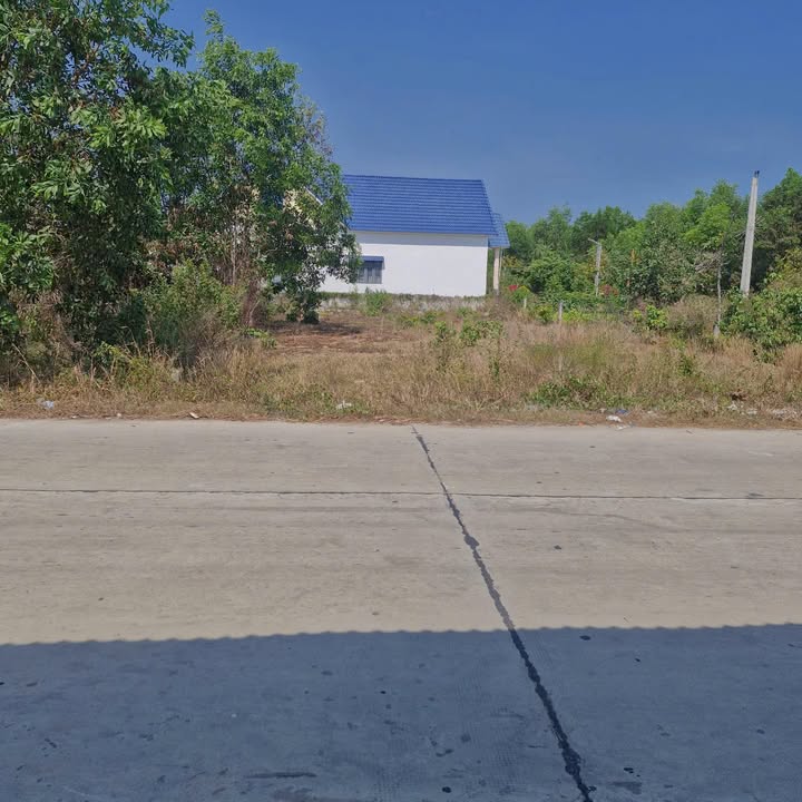 Đất nền 501m² mặt tiền đường Đinh Công Tráng - Cơ hội đầu tư tuyệt vời!