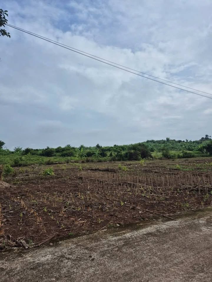 Đất Hàng Gòn Long Khánh 4000m² giá 6 tỷ - Sổ đỏ chính chủ, gần cao tốc!