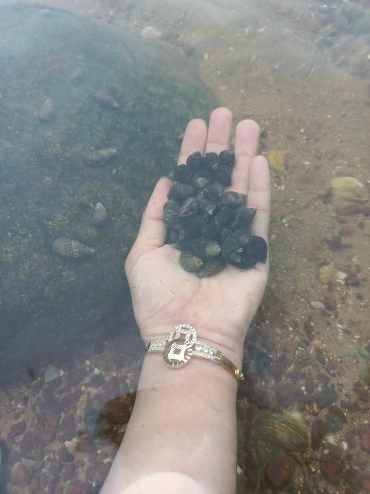 Đất nền đường Nguyễn Trung Trực, Phú Quốc 360m² giá 6 tỷ - Sổ đỏ chính chủ!