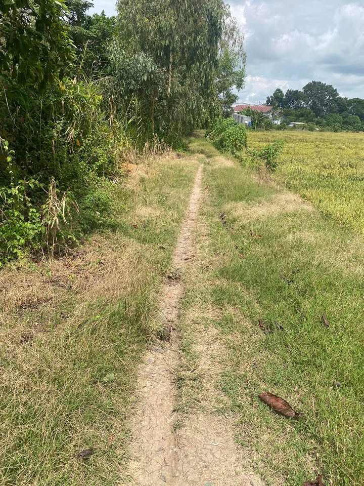 Đất nông nghiệp 6000m² tại Thoại Sơn - Giá 1.92 tỷ, thương lượng nhẹ!