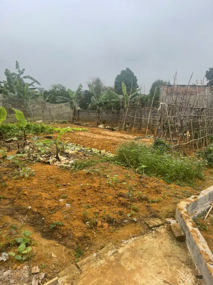 Đất nền Phú Cát Quốc Oai 350m² giá thỏa thuận - Đầu tư sinh lời ngay!