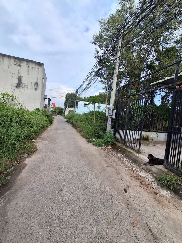 Đất nền Phước An, Nhơn Trạch 95m² giá 600 triệu - Cơ hội đầu tư hấp dẫn!