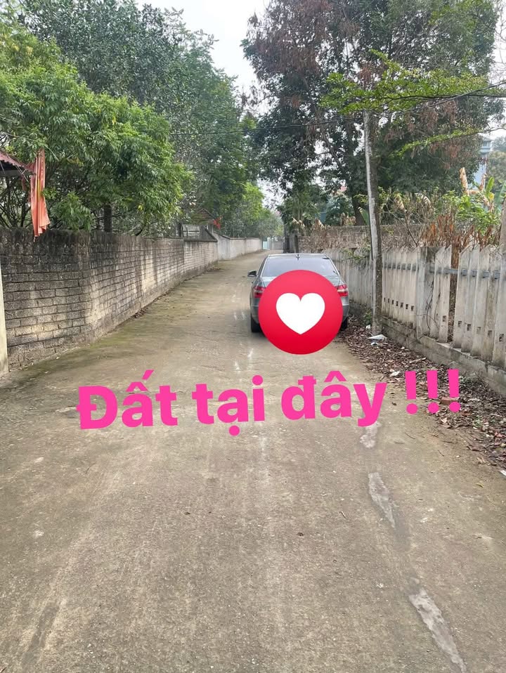 Đất Thắng, Hiệp Hòa, Bắc Giang 105m² - Đường lớn thông thoáng, bán gấp!