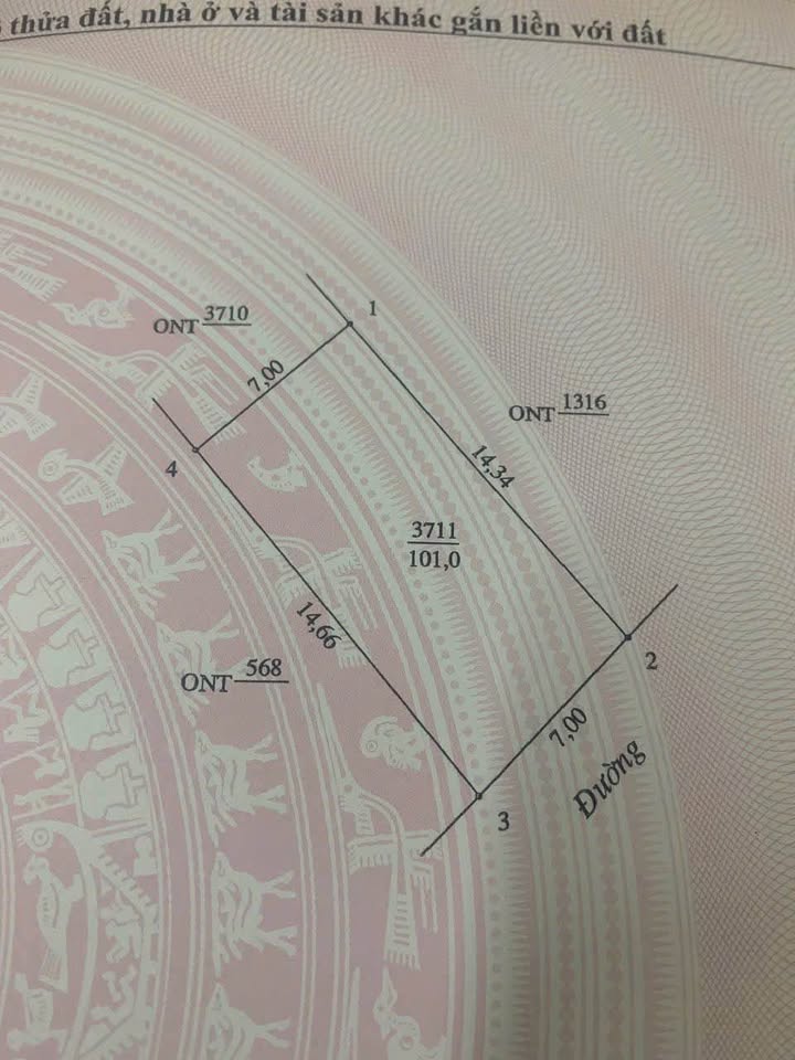 Đất Nghi Phong Vinh 100m² giá 1.3 tỷ - Tiềm năng đầu tư tuyệt vời!