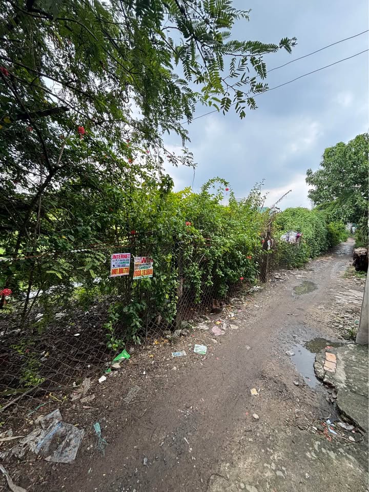 Đất thổ cư Hóc Môn 630m² giá 4.3 tỷ - Đường Nguyễn Văn Bứa rộng rãi!