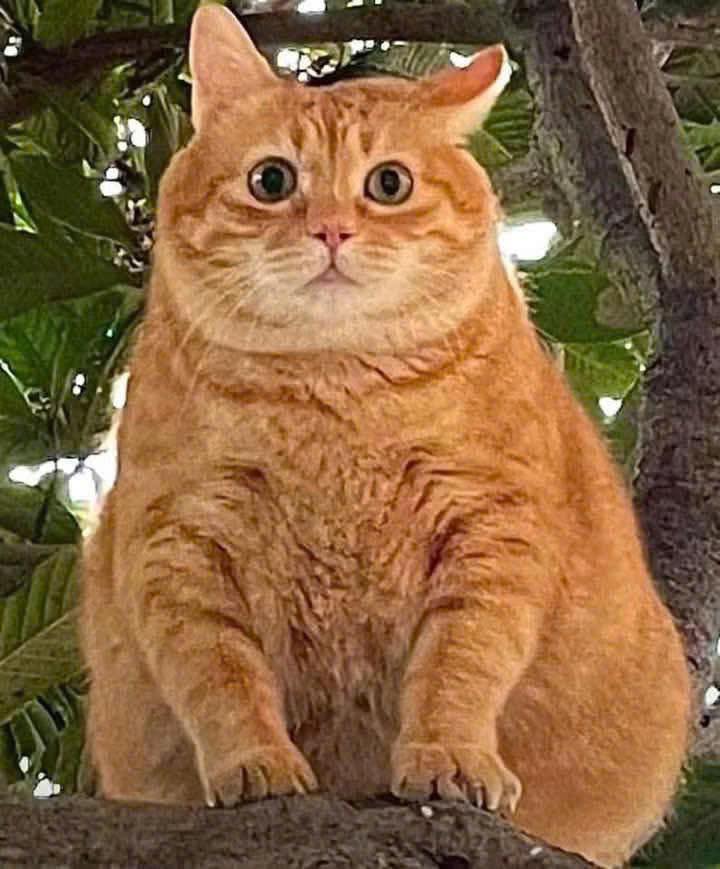 Lô đất 150m² tuyến 2 Hồ Sen - Lê Chân - Hải Phòng giá 8.4 tỷ - Tiềm năng đầu tư lớn!