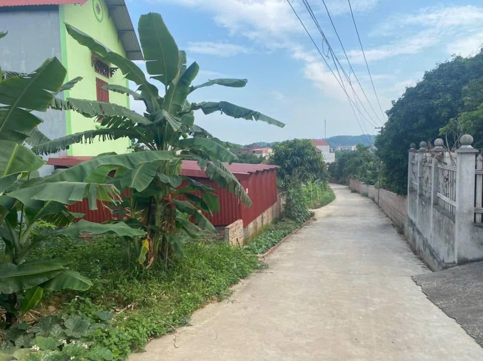 Đất nền Lãng Sơn Yên Dũng 112m² giá chỉ 800 triệu - Đầu tư sinh lời ngay!