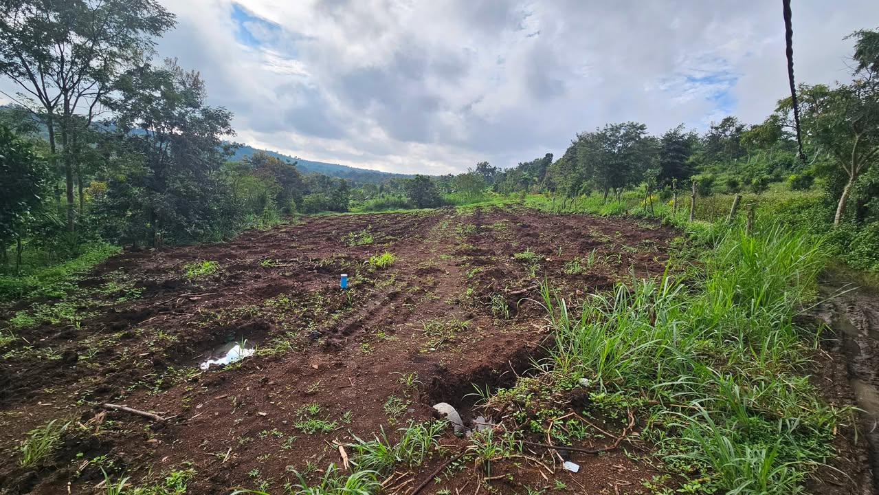 Đất rẫy Phường Thống Nhất 1512m² giá 682.5 triệu - Đầu tư tuyệt vời!