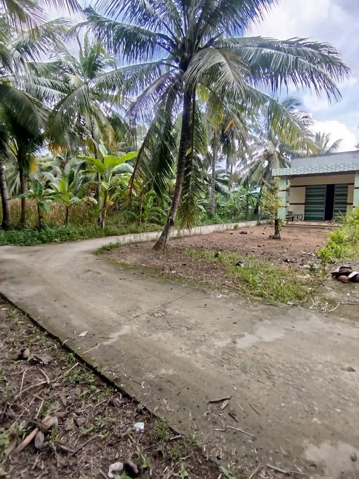 Đất thổ cư 95m² tại Tân Thanh, Giồng Trôm - Giá chỉ 430 triệu!