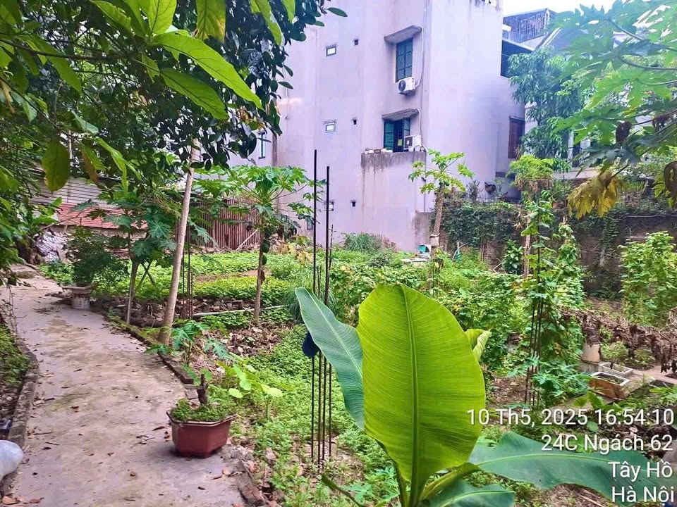 Đất thổ cư 340m² Xuân La, Tây Hồ giá 12.9 tỷ - Ô tô đỗ cửa, vị trí đắc địa!