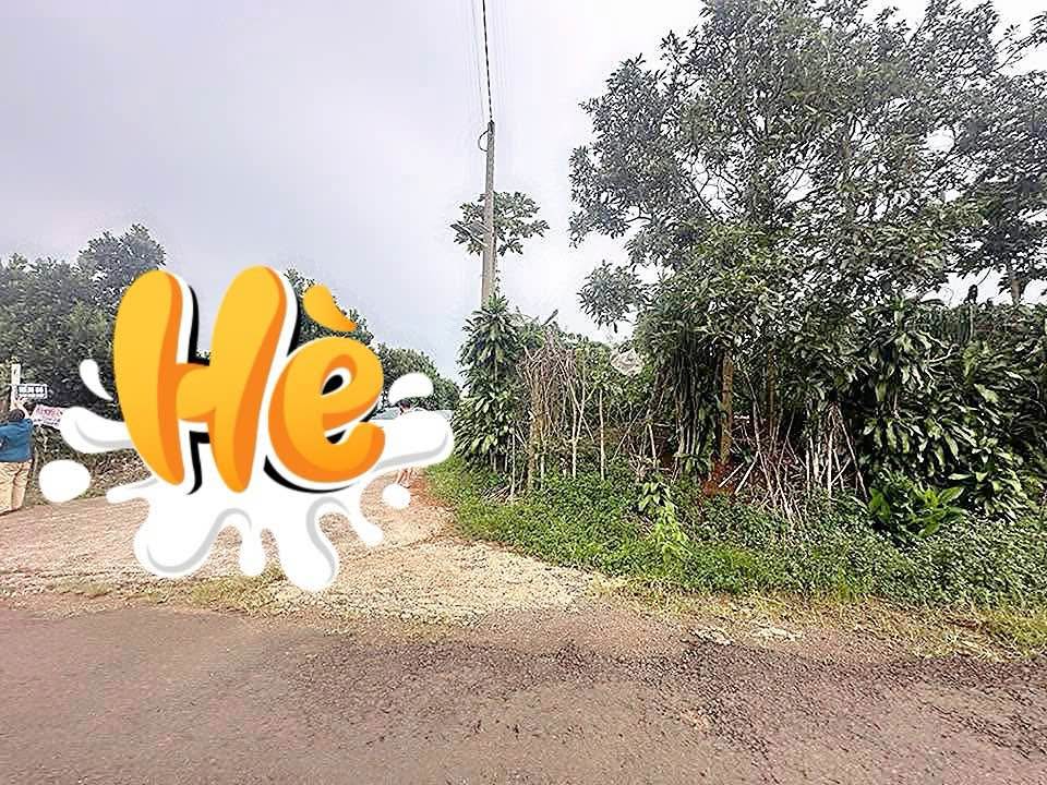 Nhà phố 2 mặt tiền Trần Nhật Duật, Quận 1 - Diện tích 1150m² giá 4.25 tỷ - Cơ hội vàng cho đầu tư!