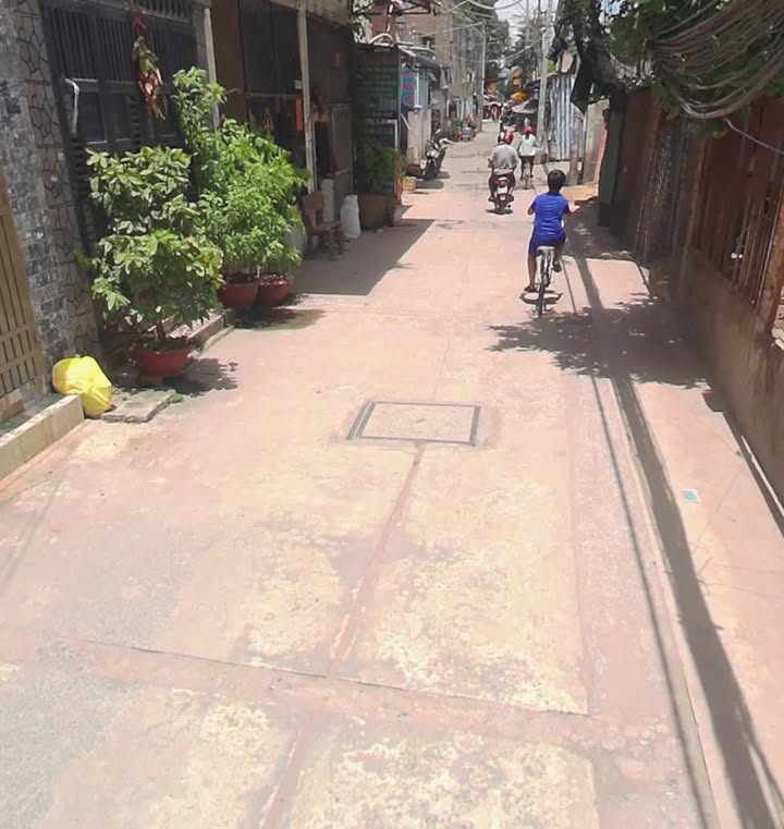 Đất trồng lúa Bình Hưng Hòa 2706m² giá 54.12 tỷ - Đường xe hơi vào tận nơi!