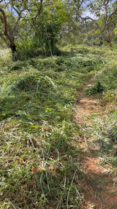 Đất nền Cư Jút Đắk Nông 1,7ha giá 1,3 tỷ - Đầu tư sinh lời ngay!