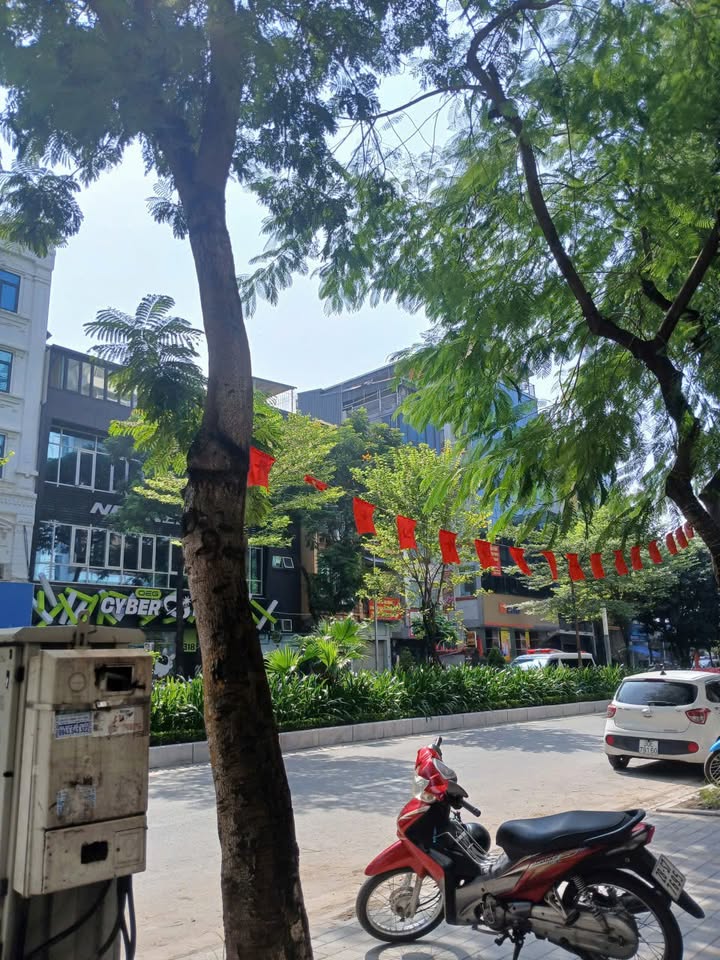 FrontHouse mặt phố Hoàng Hoa Thám 50m² giá 16 tỷ - Điểm kinh doanh lý tưởng!