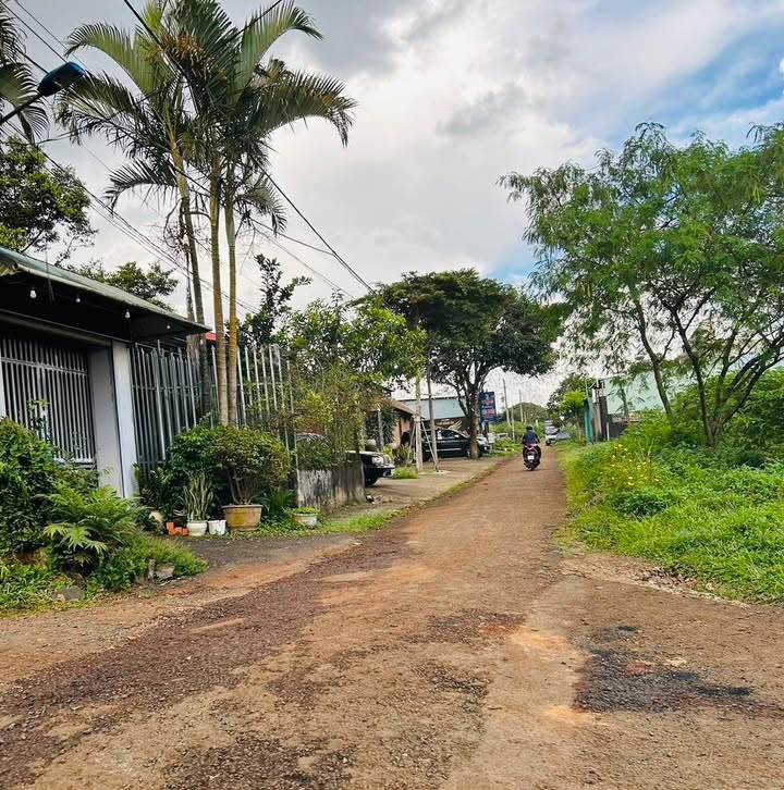 Đất ở đô thị Hẻm 196 Lê Thánh Tôn, 446m² giá 2 tỷ - Đầu tư sinh lời tuyệt vời!