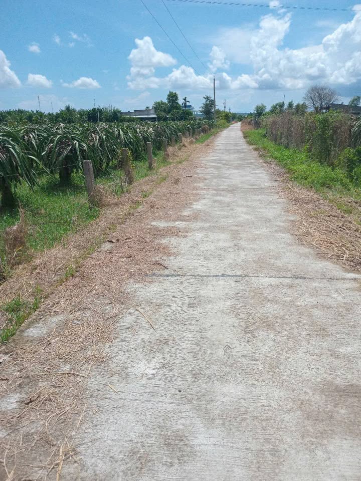 Đất Farm 1ha tại Hàm Minh, Bình Thuận - Đầu tư sinh lời hấp dẫn!