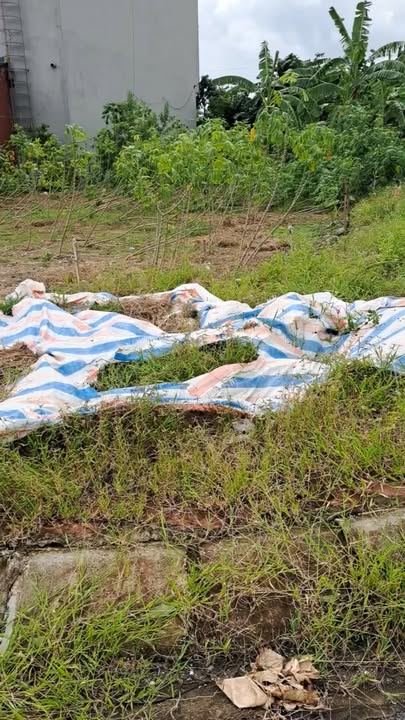 Đất nền góc 99m² đường Mạc Đĩnh Chi, Hưng Yên - Đầu tư sinh lời cao!