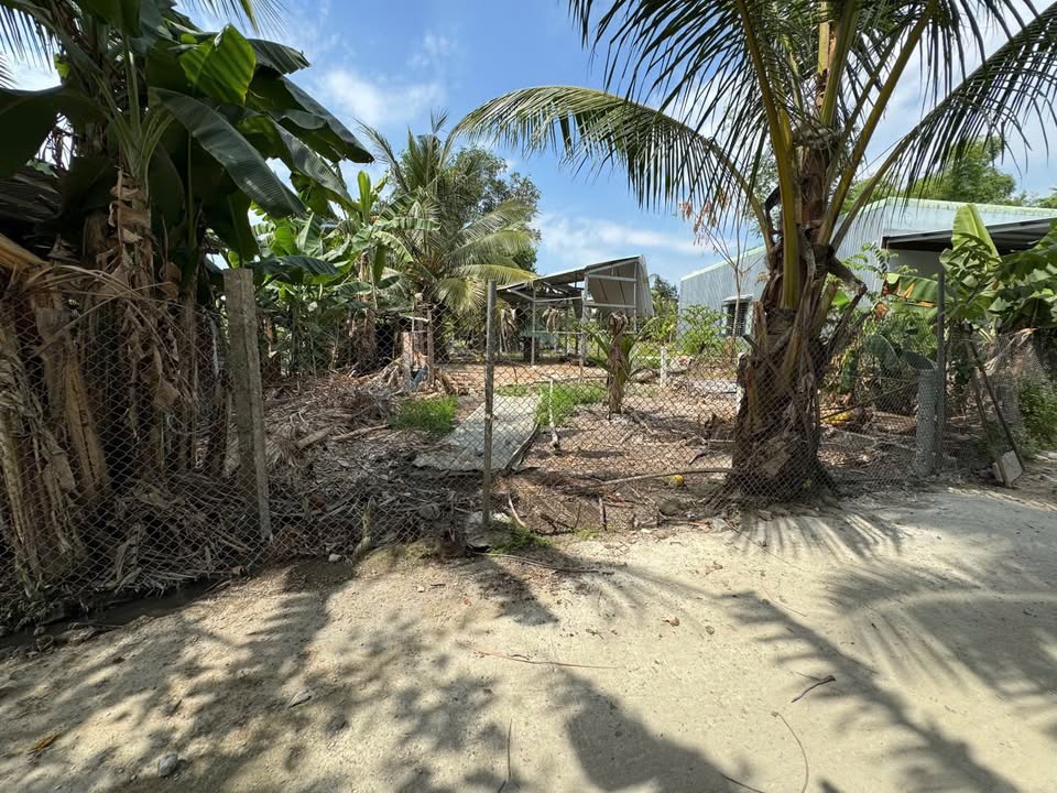 Đất nền Hòa Khương Đà Nẵng 126,5m² giá 800 triệu - Cơ hội đầu tư tuyệt vời!