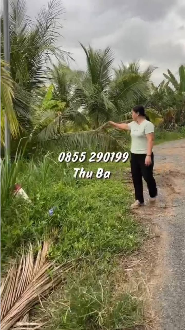 Đất vườn dừa 1500m² tại Ấp 4, Phong Phú, Cầu Kè - Giá chỉ 700 triệu!