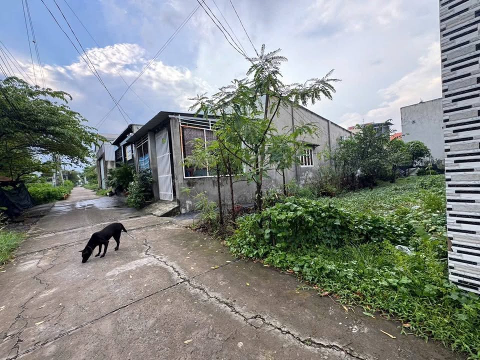 Đất nền góc 2 mặt tiền xã Đại Phước 276m² giá chỉ 5.264 tỷ - Đầu tư sinh lời ngay!