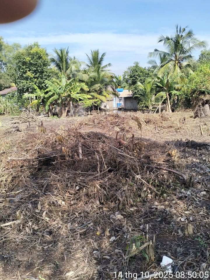 Đất nền Phú Đông Nhơn Trạch 440m² giá 1.7 tỷ - Cơ hội đầu tư lý tưởng!