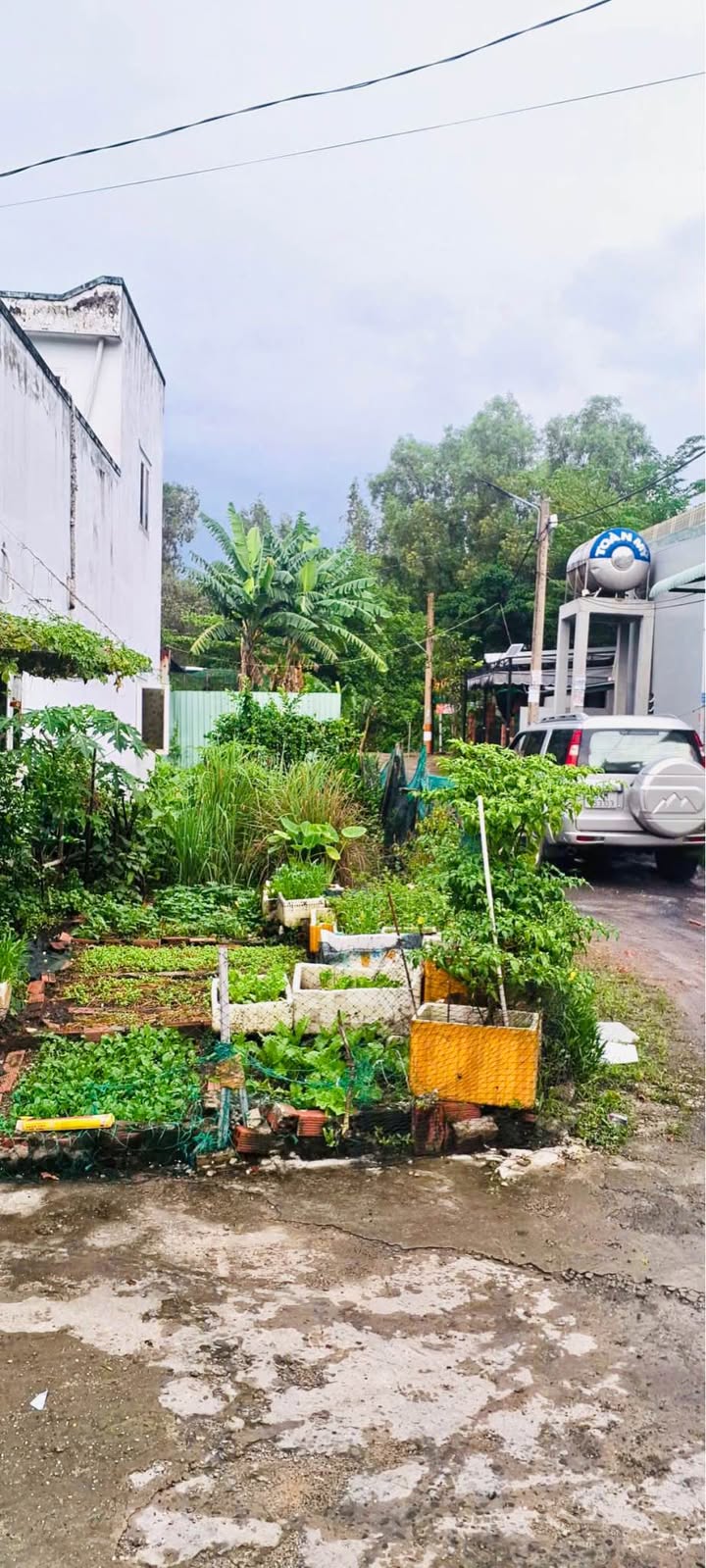 Đất nền góc 2 mặt tiền hẻm xe hơi Thạnh Xuân 40 - Giá chỉ 3.05 tỷ!