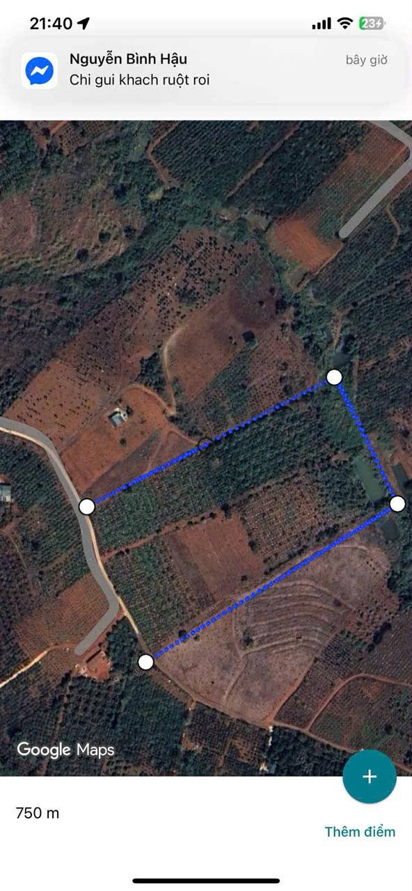 Farm Đắc Rung Đăk Song 3 Hecta giá 4.4 tỷ - Đầu tư sinh lời ngay!