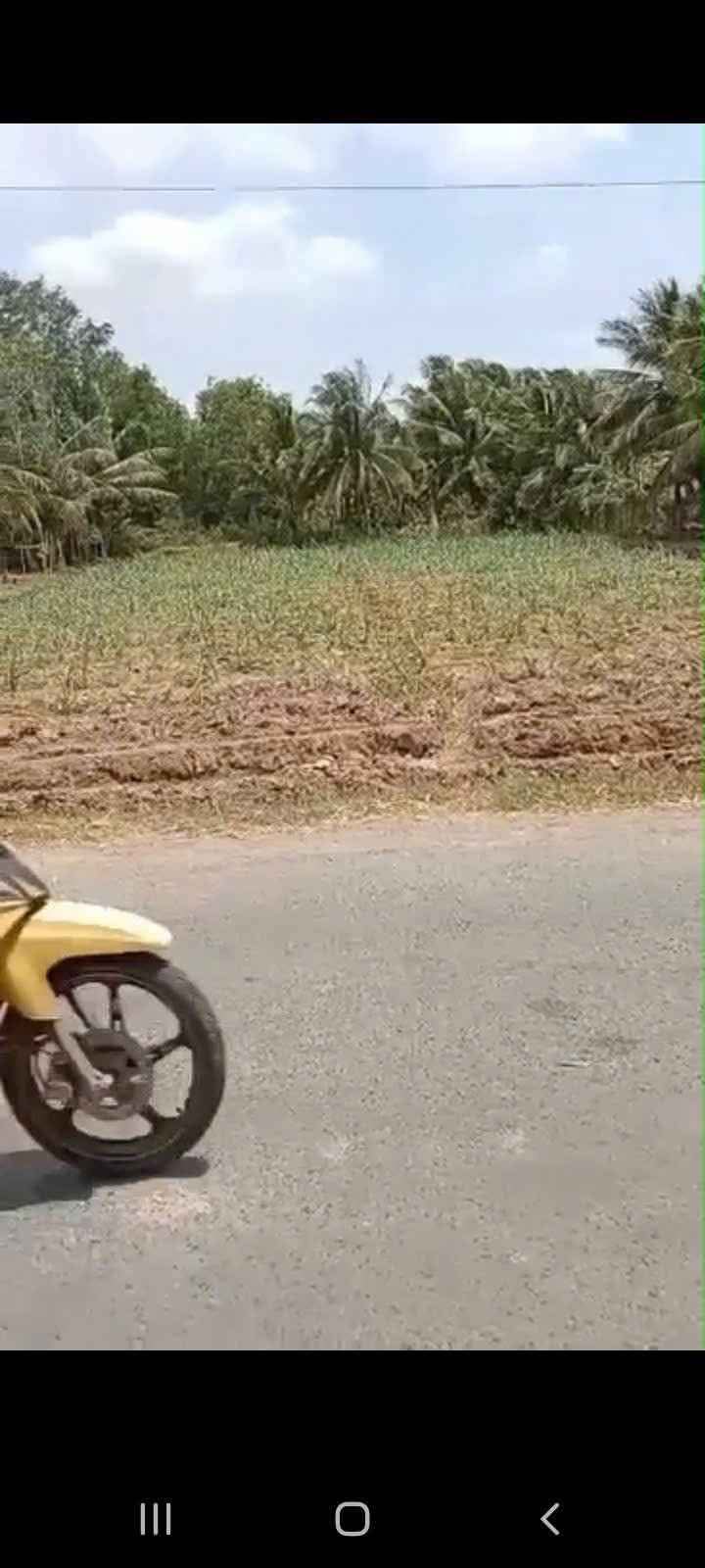 Đất nền Kim Sơn Trà Cú 1700m² giá 1.68 tỷ - Cơ hội đầu tư hấp dẫn!