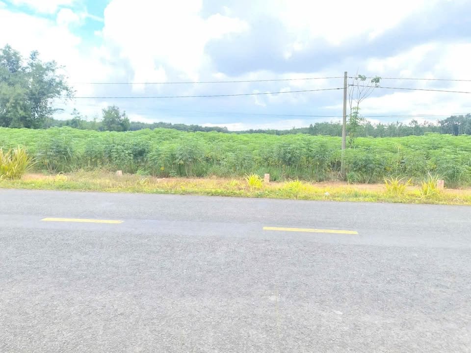 Đất nền Tân Châu, Tây Ninh 30000m² - Mặt tiền 30m, đầu tư sinh lời!