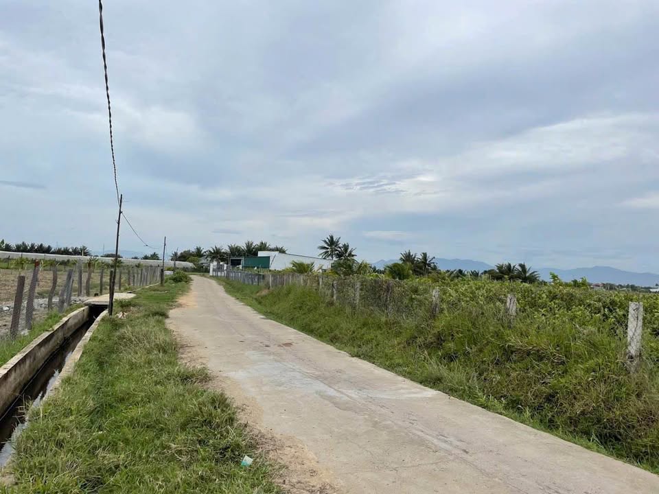 Đất nền Thành Hải Phan Rang 300m² giá 800 triệu - Cơ hội đầu tư tuyệt vời!