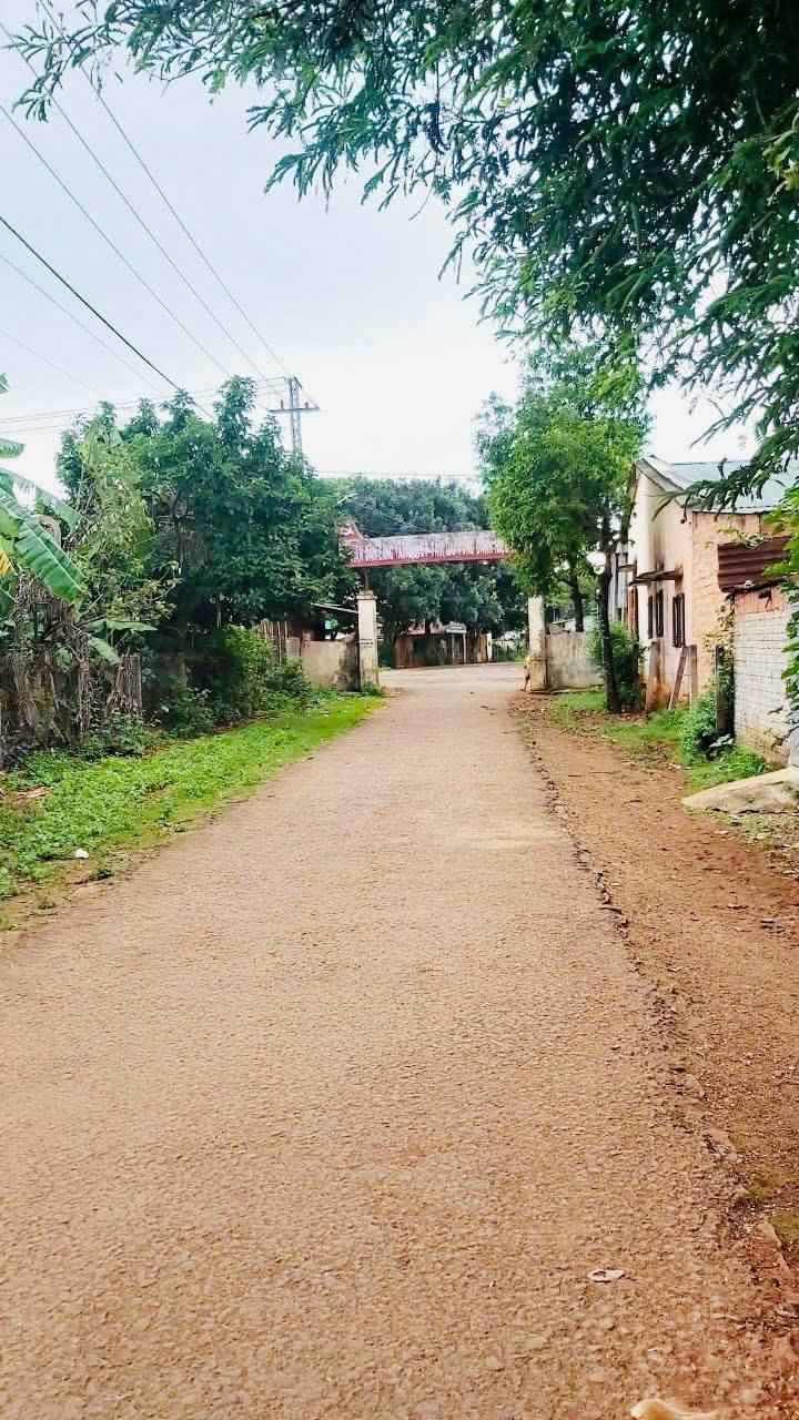 Đất thổ cư Ia Kha, Ia Grai 240m² giá chỉ 550 triệu - Cơ hội đầu tư hấp dẫn!