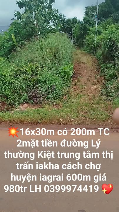 Đất nền 2 mặt đường Lý Thường Kiệt, Ia Grai 480m² giá 980 triệu - Cơ hội đầu tư tuyệt vời!