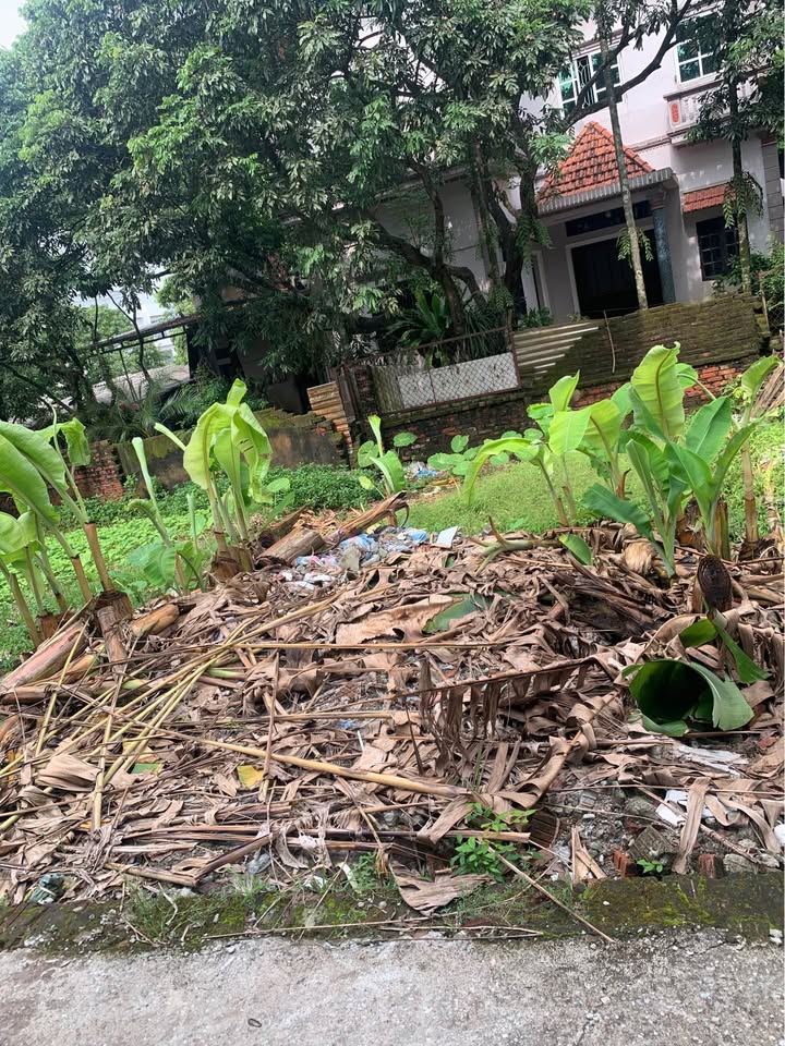 Đất nền 57,9m² tại xã Đại Thành, huyện Quốc Oai - Cơ hội đầu tư tuyệt vời!