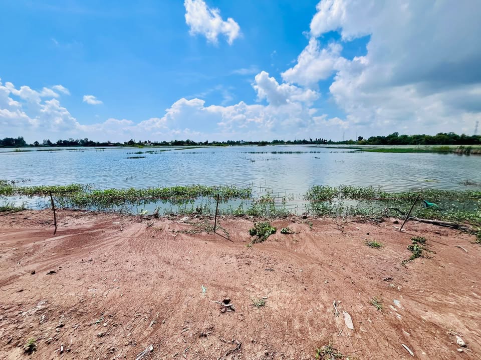 Đất nông nghiệp 7 công tại Bình Khánh, Giá 5.25 tỷ - Đầu tư sinh lời ngay!