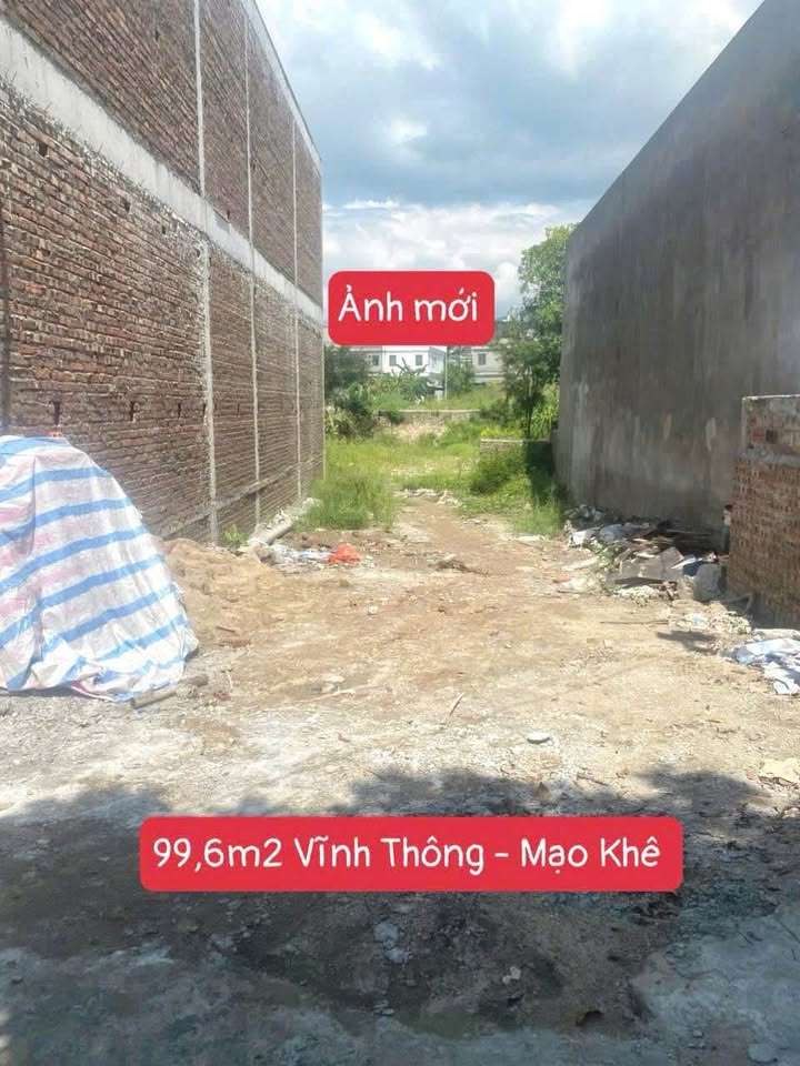 Đất thổ cư Vĩnh Thông, Mạo Khê 99.6m² giá chỉ 1 tỷ - Cơ hội vàng đầu tư!