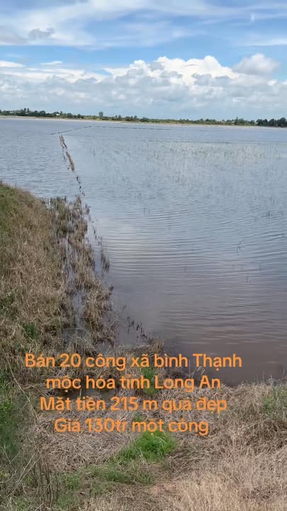 Đất nền 20 công tại xã Bình Thạnh, Mộc Hóa - Mặt tiền 215m, chỉ 2.6 tỷ!