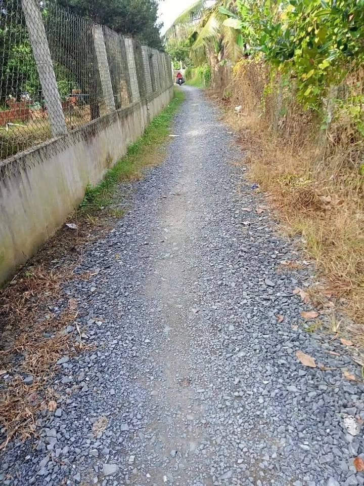 Đất thổ cư 100m² tại xã Cẩm Sơn, Cai Lậy, Tiền Giang giá 900 triệu - Đầu tư sinh lời ngay!