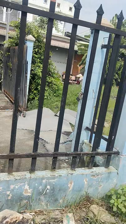 Bán gấp 28 căn nhà trọ mặt tiền đường Tỉnh lộ 824 - 800m² giá 9.5 tỷ!