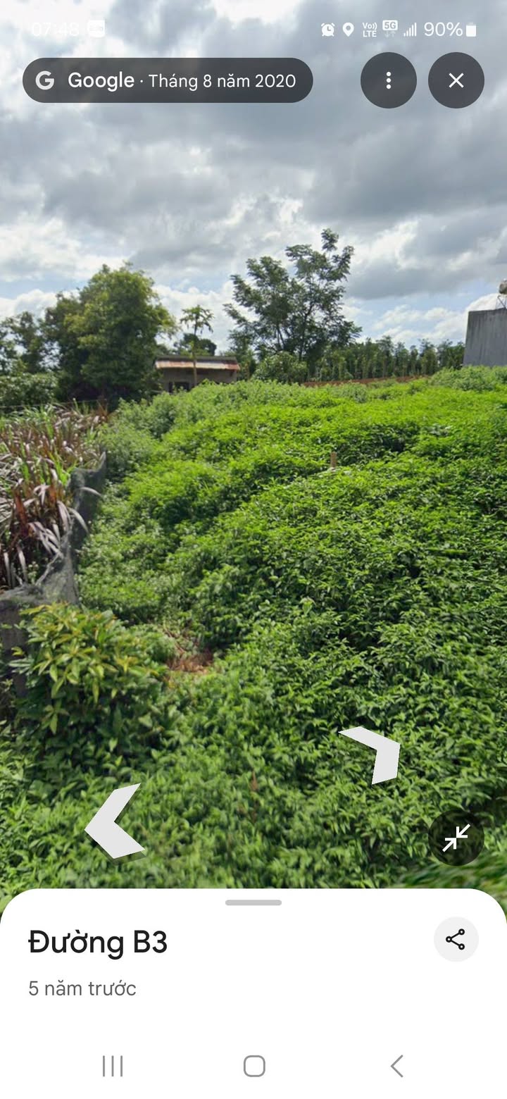 Đất mặt tiền đường B1, xã Cư Êbur, 100m² chỉ 1.15 tỷ - Cơ hội đầu tư hấp dẫn!