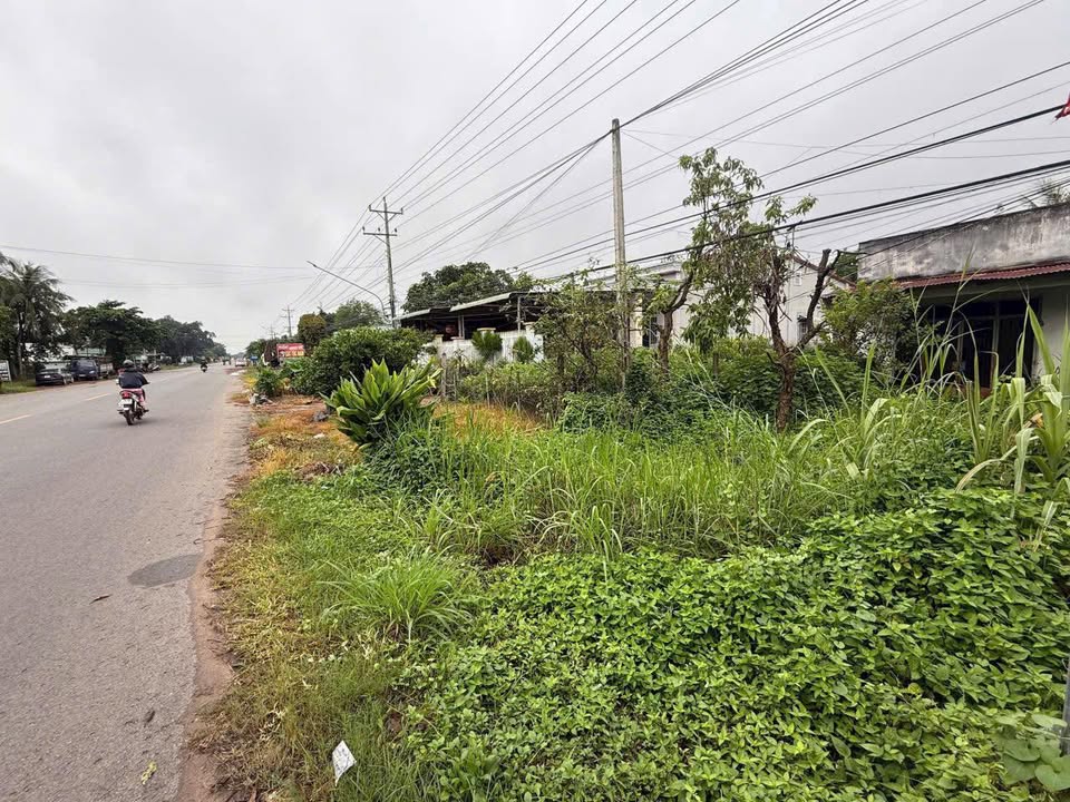 Đất mặt tiền đường 781 xã Dương Minh Châu Tây Ninh 654m² giá 280 triệu - Đầu tư kinh doanh lý tưởng!